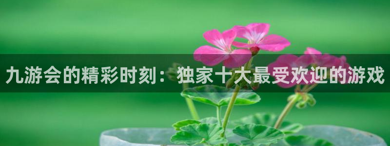 伟德国际中文