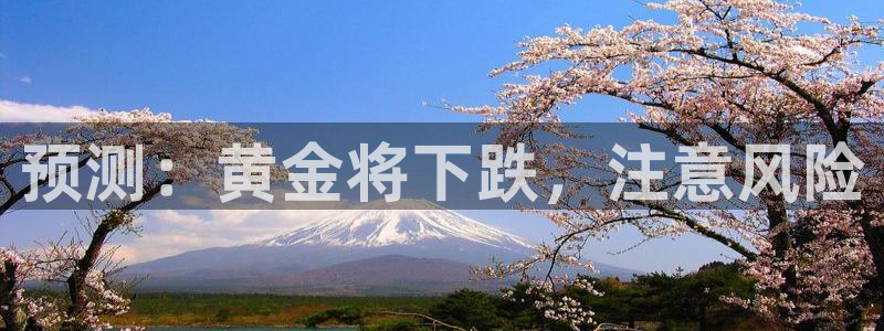 伟德国际企业有限公司