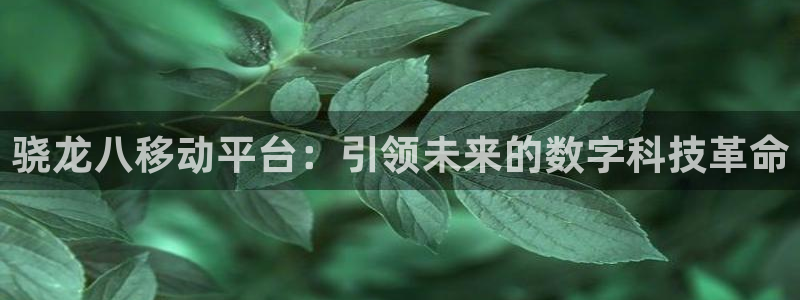 伟德国际betvlctor1946
