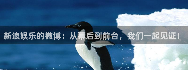 伟德国际betvlctor