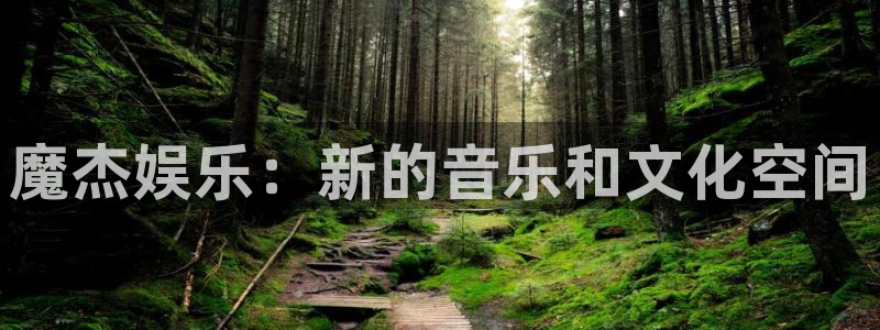 伟德国际吧