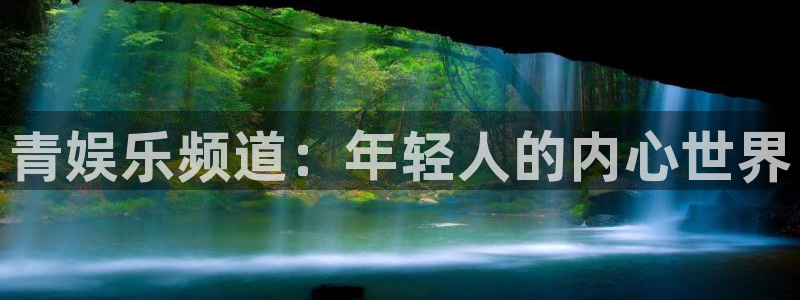 伟德国际公司