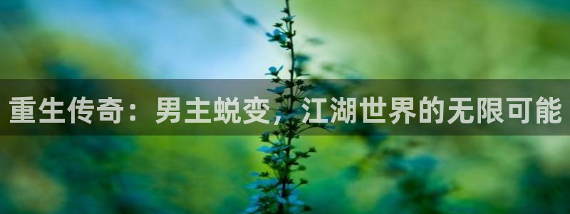 伟德国际1949