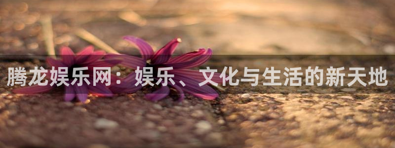 伟德国际官网_伟德国际平台：腾龙娱乐网：娱乐、文化与生活的新天地